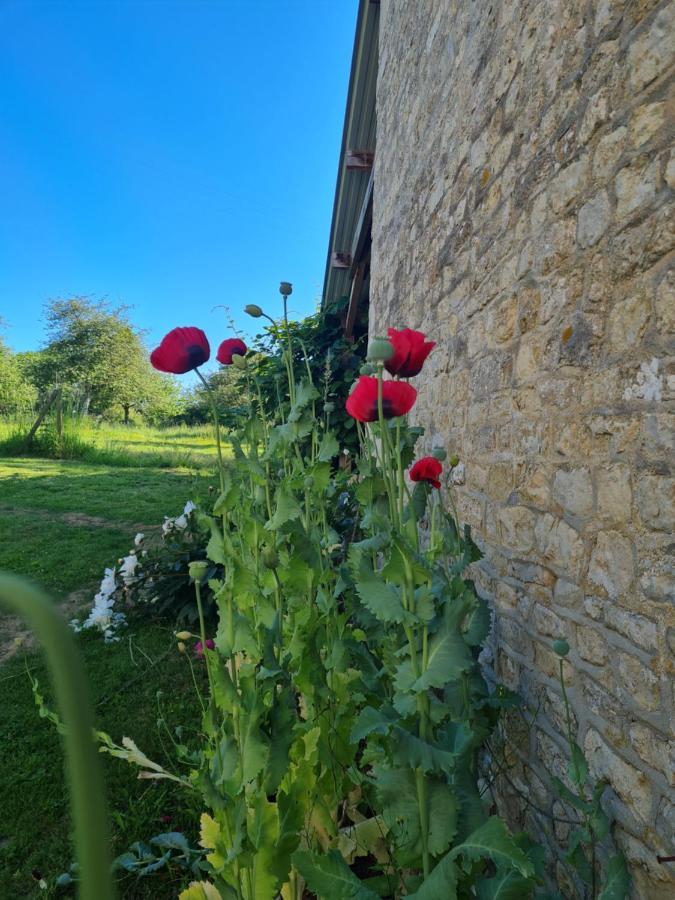 Domaine De La Cour Vautier Panzió Mandeville-en-Bessin Kültér fotó