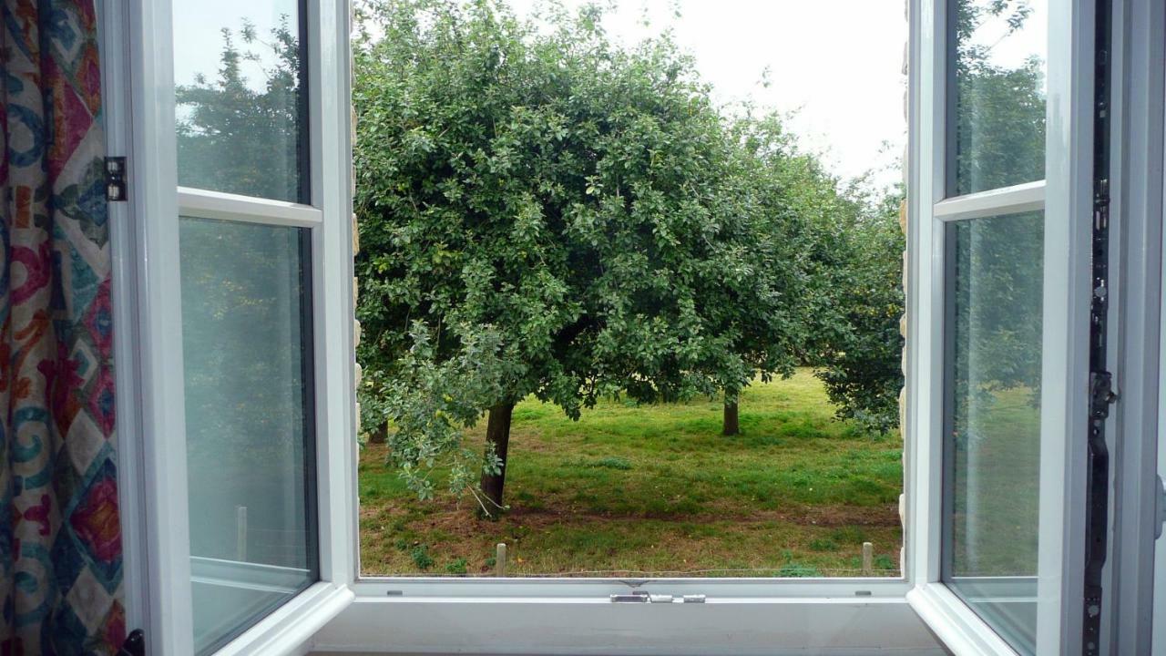 Domaine De La Cour Vautier Panzió Mandeville-en-Bessin Kültér fotó